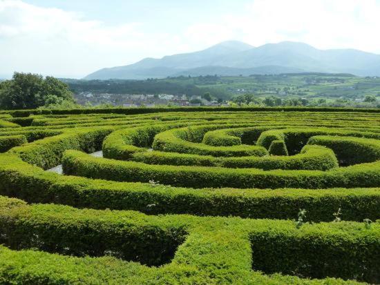 Loughview Retreat In The Mournes Apartment นิวคาสเซิล ภายนอก รูปภาพ